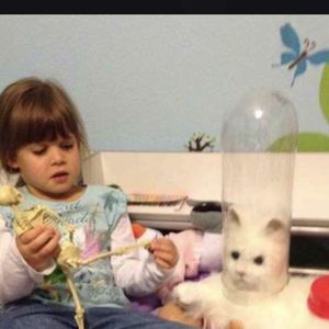 Meet your Posher, Royce